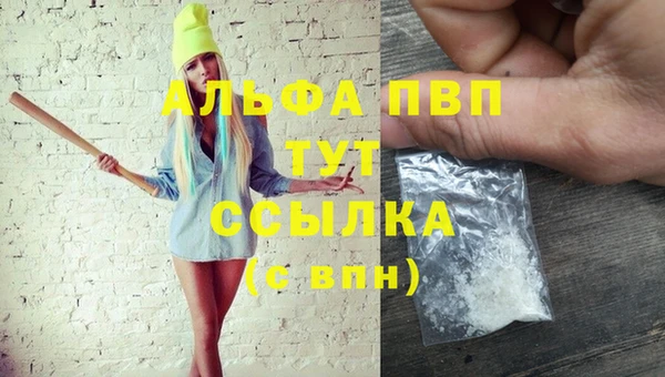 spice Кинешма