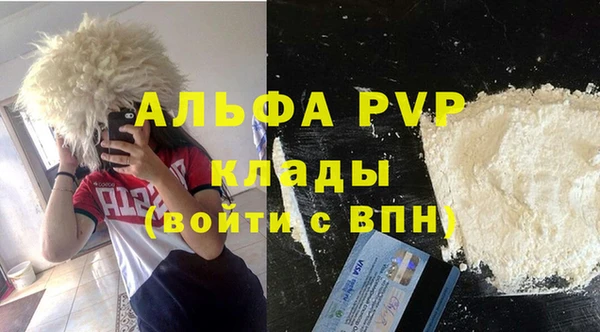 spice Кинешма