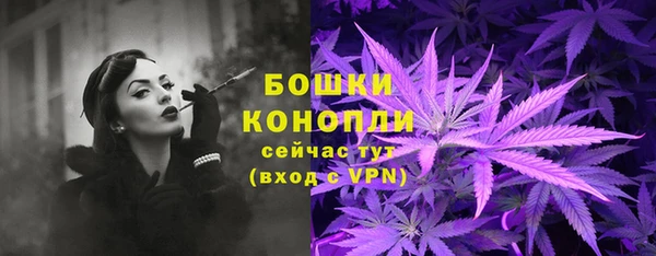 spice Кинешма