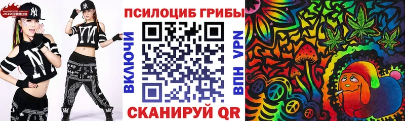 Галлюциногенные грибы Psilocybe  Купить  Баксан 